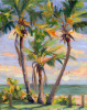 Causeway Coconuts 10"x8"